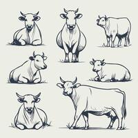 Elegant Cow Line Drawings in Different Natural Poses vector