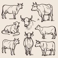 Rustic Farm Cows in Line Art - Hand-Drawn Sketch Collection vector