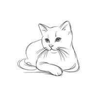 Elegant Minimalist Cat Line Art vector