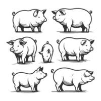 Hand Drawn Pig Line Art Collection in Various Poses vector