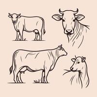 Hand Drawn Cow Line Art Collection in Various Poses vector