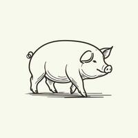 Minimal Line Art Pig Illustration vector