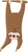 Adorable cartoon sloth hanging upside down from a tree branch, smiling happily, enjoying its relaxed lifestyle in the rainforest vector