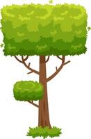 Lush green cartoon tree with a perfectly square crown, a small bush growing on its trunk, and surrounded by grass at the base, creating a whimsical and stylized nature element vector
