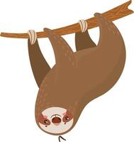 Adorable cartoon sloth hangs upside down from a tree branch in a relaxed pose, perfect for various uses like logos, stickers, and more vector