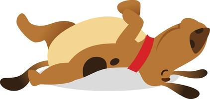 Adorable brown puppy with a red collar rolling on its back with legs and paws in the air, having fun on a white surface vector