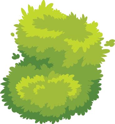 Cartoon style lush green bush with multiple leaves on white background, perfect for adding a vibrant and natural touch to any design