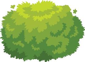Vibrant, natural bush with dense foliage, ideal for landscaping or adding greenery to a scene vector