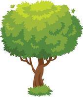 Cartoon tree with brown trunk and thick round crown with bright green leaves growing in the grass is isolated on white background vector