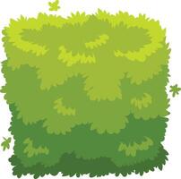 Vibrant green foliage enhances gardens, parks, and landscaping, creating a natural and inviting atmosphere while offering privacy and visual interest vector
