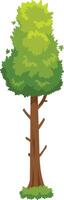 Cartoon illustration of a tall, lush green tree with a sturdy brown trunk and branches, set against a clean white background, creating a simple yet vibrant image vector