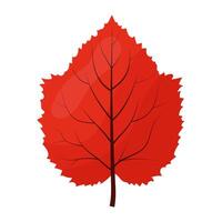 autumn red leaf with carved edges vector