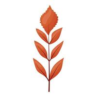 autumn branch with small leaves vector