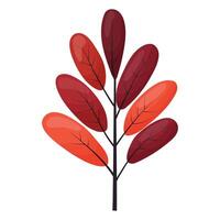 autumn colored bright leaf highlighted vector