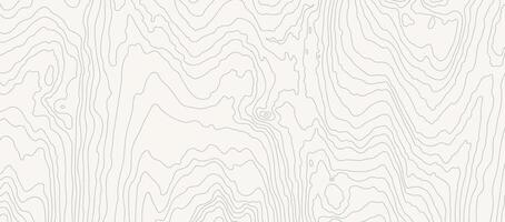 Wooden white wavy pattern. Tree fiber, wood grain texture. Dense lines. Abstract topographic background vector