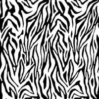 Zebra skin, stripes pattern. Animal print texture. Black and white background vector