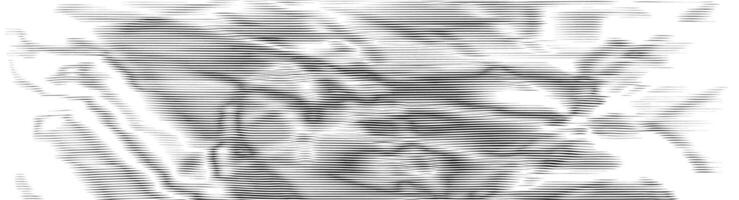 Moire patterns.Wavy lines optical illusion abstract backgrounds. Distorted lines wallpaper vector
