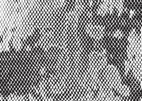 Black and white grunge mesh hexagon pattern. Cells in the honeycomb. Holes mosaic organic structure vector