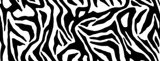 Zebra fur stripe skin, animal pattern. Repeating texture. Black and white seamless background vector