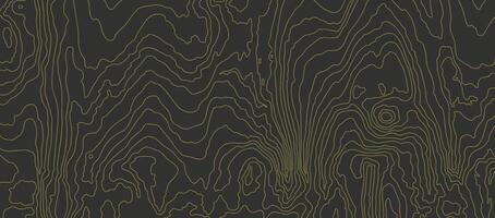 Wood grain, black texture. Wooden pattern with gold fibers. Abstract outline background vector