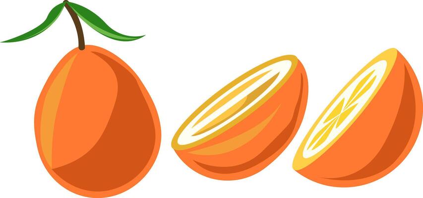 Orange Fruit Vector Art, Icons, and Graphics for Free Download
