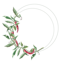Round frame of branches with red peppers. Hand drawn isolated watercolor illustration of vegetables for tableware design, cookbook illustration, fabric and clothing printing png
