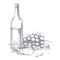Wine bottle with bunch of berries and lying glass. Isolated pencil illustration in realistic style for design of alcoholic products, juices, cookbooks, printing on fabric, menu design png