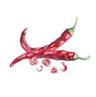 Set of whole peppers and slices, pieces. Isolated watercolor illustration for spice packaging design, cookbook, fabric printing, restaurant print design, tableware and kitchenware. png