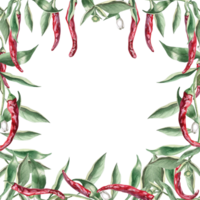 Square frame of branches with hot red peppers. Hand drawn isolated watercolor illustration of vegetables for tableware design, posters, cookbook illustration, fabric and clothing printing png