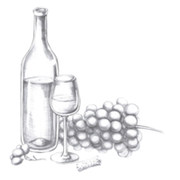 Wine bottle with glass and bunch of grapes. Isolated pencil illustration in realistic style for design of alcoholic products, juices, posters, cookbooks, printing on fabric, menu design png