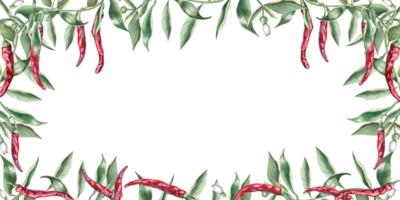 Rectangular frame of branches with hot red peppers. Hand drawn isolated watercolor illustration of vegetables for tableware design, posters, cookbook illustration, fabric and clothing printing png