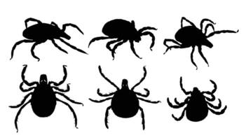 The Set of silhouettes of a ticks. vector
