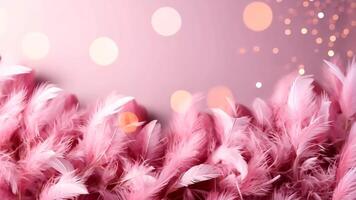 Soft pink feathers gently swaying with warm bokeh lights, creating dreamy and romantic atmosphere. Perfect for themes like beauty, weddings, relaxation, and feminine branding. video