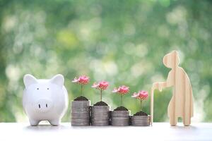 Mutual fund,Senior and piggy bank on natural green background, Save money for prepare in future and pension retirement concept photo