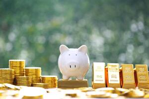 Piggy bank on gold bar and gold coin money on natural green background,Business investment and Saving money for prepare in future concept photo