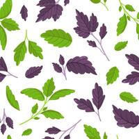 seamless pattern with basil in different colors. Fresh greenery image. Botanical illustration. vector