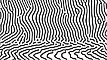 Optical art with fluid black lines on white background vector