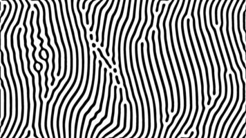 Abstract op art with curved black and white lines vector