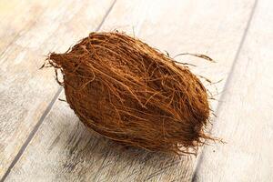 Natural exotic brown hairy coconut photo