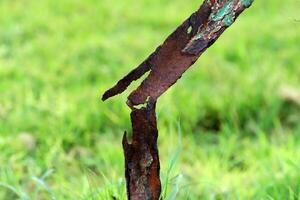 Old and rusty metal products. photo