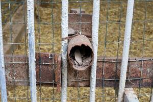 Old and rusty metal products. photo