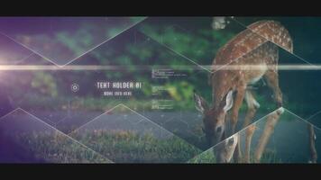 abridor de ponta paralaxe 4k após template de efeitos motion_graphic