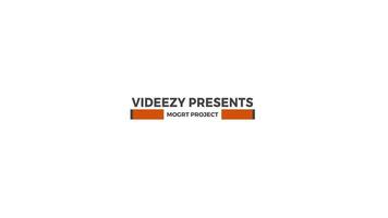 25 Custom Animated Titles - After Effects Template motion_graphic