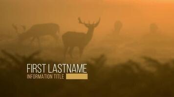 Natural Clean Lower Third After Effects Template motion_graphic