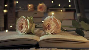 zwei Rosa Rosen Lüge auf ein öffnen Buch. funkeln Sterne im das Hintergrund, Erstellen ein warm und zauberhaft Atmosphäre zum ein ruhig Abend. video