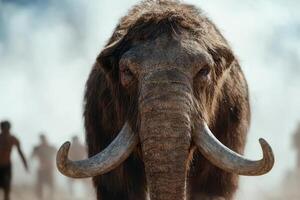 close up portrait of a majestic woolly mammoth photo