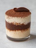 Delicious chocolate layered dessert photo