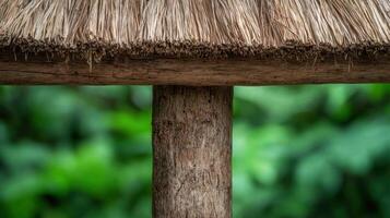 rustic wooden structure with thatched roof photo