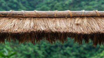 Thatched roof detail in tropical setting photo