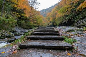 Autumn forest trail with stone steps and flowing stream photo